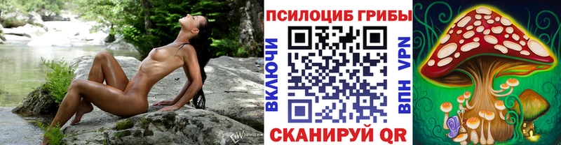 купить блэк спрут как зайти Псилоцибиновые грибы мухоморы Валдай